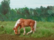 H0 Tiroler Haflinger Anne