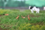 00 / H0 European rabbits, 3 pieces